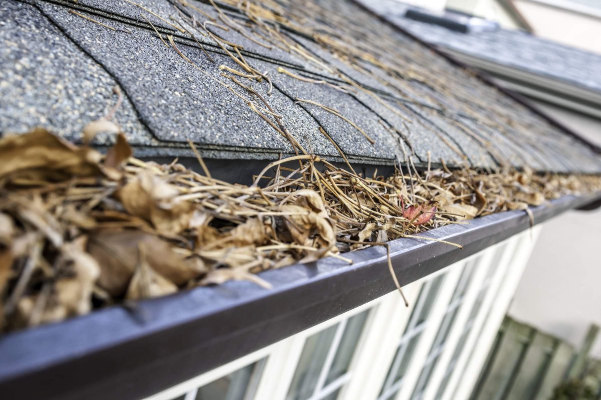 Gutter Cleaning Middletown NJ